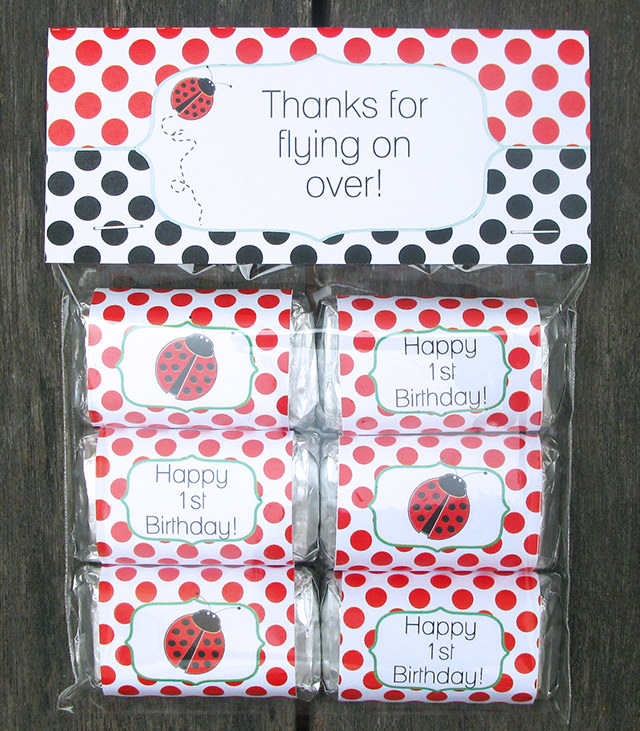 Ladybug Birthday Party Favors