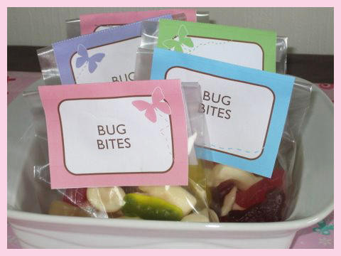 BUTTERFLY BIRTHDAY PARTY FAVOR IDEAS
