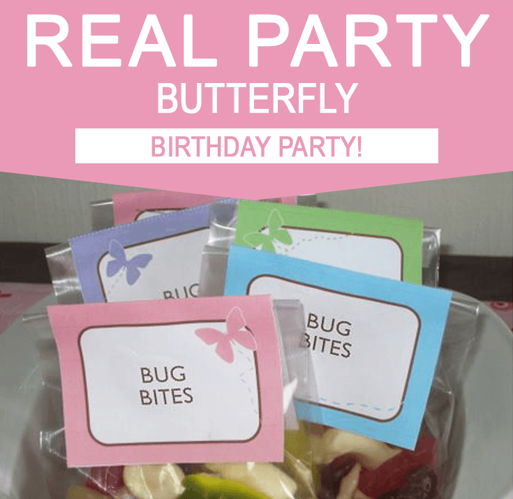 Butterfly Birthday Party Ideas - Real Party