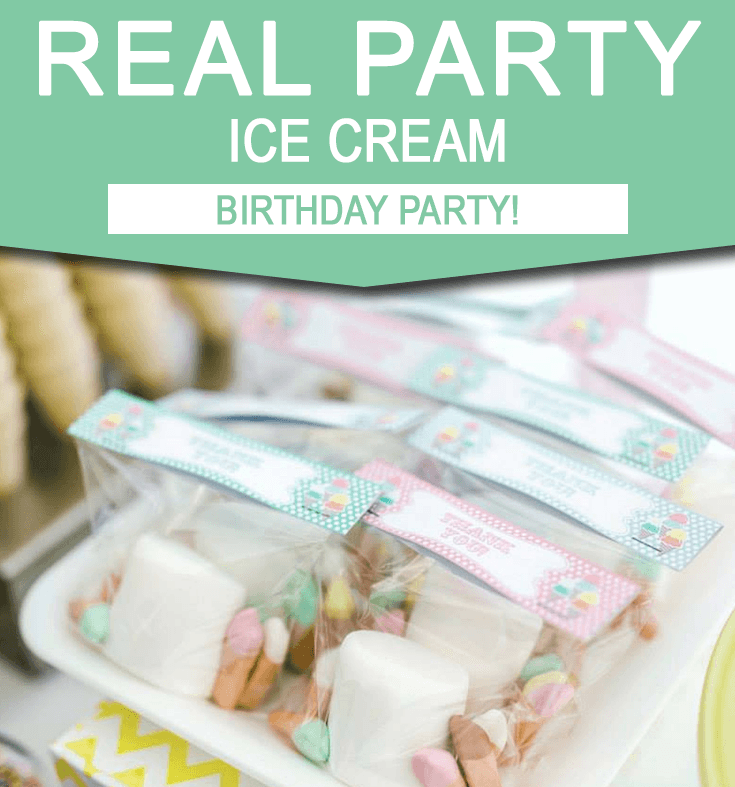 Ice Cream Birthday Party Ideas