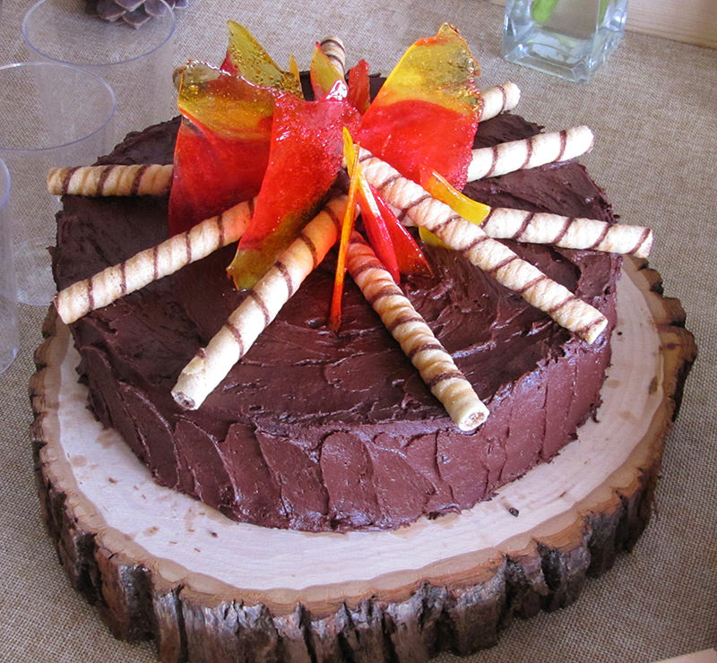 Camping Birthday Party Cake - Camp Fire | Campout Theme