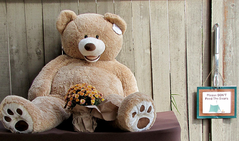 Camping Birthday Party Decoration Ideas | Don't Feed the Bears