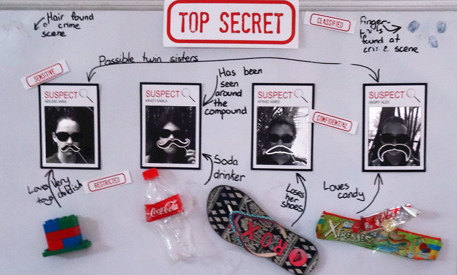 Spy Secret Agent Suspect Board - Party Decoration - Birthday Party Activities - Ideas and Inspiration 