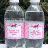 Pony / Horse Party Water Bottle Labels Template