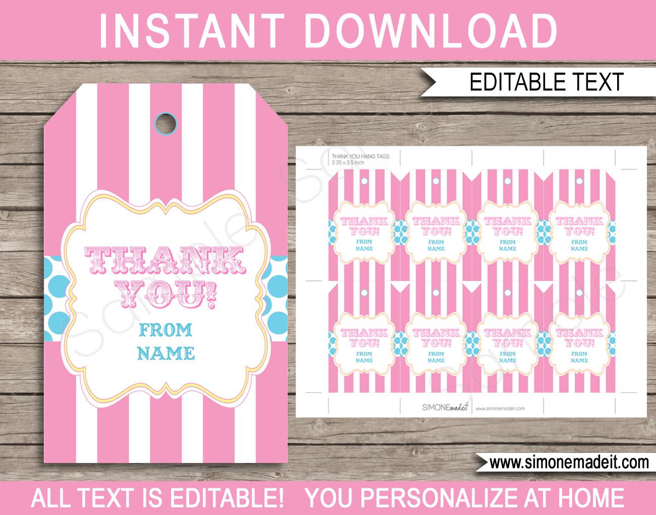 Aqua & Pink Carnival Favor Tags