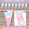 Aqua & Pink Carnival Pennant Banner