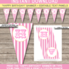 Pink & Yellow Carnival Pennant Banner