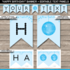 Pennant Banner