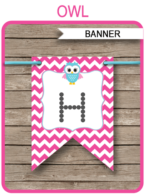 Owl Banner Template - Happy Birthday Banner - Pink & Aqua - Birthday Party - Editable and Printable DIY Template - INSTANT DOWNLOAD $4.50 via simonemadeit.com