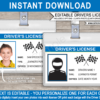Blue Race Car Drivers Licenses