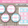 Aqua & Pink Carnival Cupcake Toppers